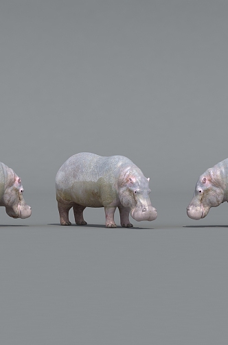 hippo sculpture zoo hippo 3d model