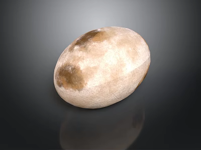 Oval Shaped Wood And Stone Decorative Piece In Beige With Brown Spots 3d model