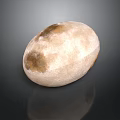 Oval Shaped Wood And Stone Decorative Piece In Beige With Brown Spots