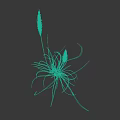 Herbaceous Plants With White Feathery Spikes Slender Leaves Red Green Stems Blue Roots White Background