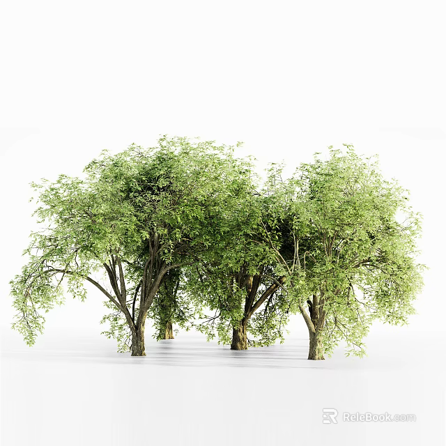 Lush Green Arbor Trees With Dense Foliage And Strong Trunks In Natural Scene 3d model 