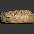 Freshly Baked Seeded Bagel Topped With Sesame Oat Poppy Seeds And Golden Crusty Exterior
