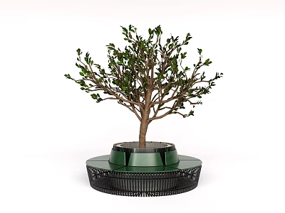 Tree Pit With Green Leaf Tree And Modern Grid Base Design Structure 3d model