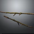 Natural Plant Branches with Green Moss on Brown Stems Against Dark Background