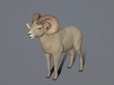 Horned Reptile With Curved Horns And Gray Scales In Studio Setting 3d model