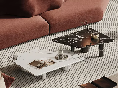 Black And White Marble Coffee Table With Small Plant Bowl Magazines By Brown Sofa 3d model