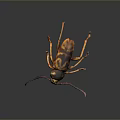 Close Up View Of Colorful Beetle With Long Antennae And Striped Body On Dark Background