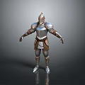 Medieval Knight Armor Costume with Metal Helmet Breastplate Arm and Leg Plates 3d model