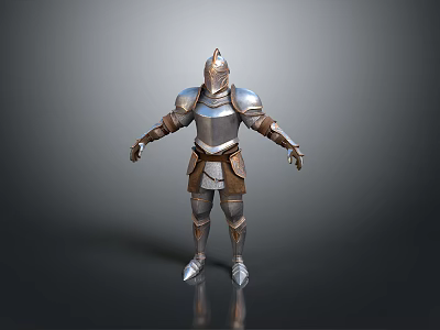 Medieval Knight Armor Costume with Metal Helmet Breastplate Arm and Leg Plates 3d model