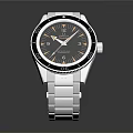 Modern Watch High-end Watch High-end Watch High-end Watch 3d model