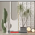 Modern Indoor Potted Plants Decoration With Cactus And Palm Like Plants In Stylish Pots