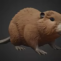Realistic Beaver With Plump Body Brown Fur Black Eyes And Short Legs
