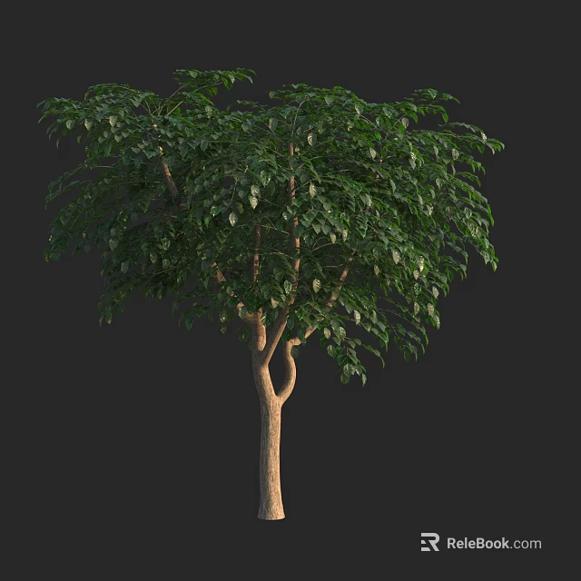 Tall Vibrant Arbor With Lush Green Leaves And Sturdy Brown Trunk 3d model 