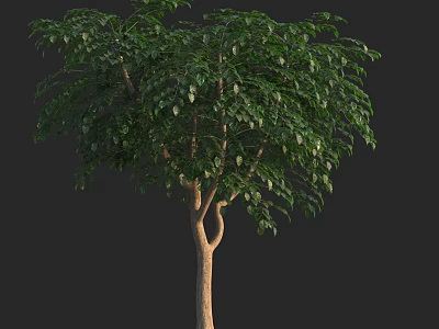 Tall Vibrant Arbor With Lush Green Leaves And Sturdy Brown Trunk 3d model