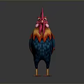 Colorful Rooster with Vibrant Red Comb Orange Feathers and Blue Body Standing on Dark Background