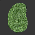 Soft Fluffy Beige Shaped Rug With Plush Texture And Irregular Shape For Home Decor