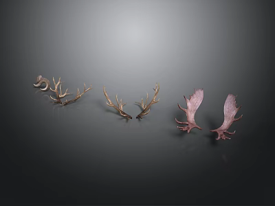 Decorative Antlers In Three Different Colors Light Brown Dark Brown Pink On Gray Gradient Background 3d model