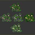Colorful Decorative Plants With Pink Purple Yellow White Flowers And Green Leaves