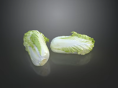 Fresh Chinese Cabbage with Green Leaves and White Stalk on Dark Background With Reflection 3d model