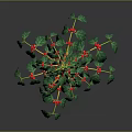 Lush Coffee Plant With Green Leaves And Red Berries On Yellow Stem