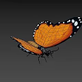 Flying Butterfly With Orange Wings Black Edges And White Spots On Brown Background