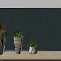 Bonsai Potted Plants In White Gold Striped Pots With Various Green Foliage Against Gray Wall