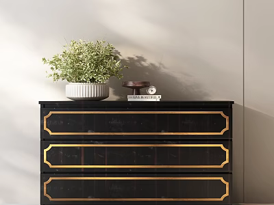 Modern Black Entryway Cabinet Sideboard with Gold Trim and Green Plant on Top 3d model