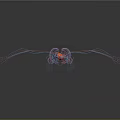 3D Human Body Model Showing Internal Organs Heart And Vascular System On Dark Background