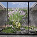 Indoor Courtyard Garden With Glass Enclosure Purple Flowers And Green Plants