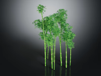 Tall Green Bamboo Plants With Lush Leaves And Slender Stems On Black Background With Reflection 3d model