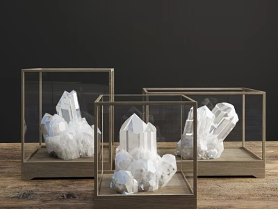 Crystal Ornament Decor Set in Glass Cases with Wooden Bases for Home 3d model