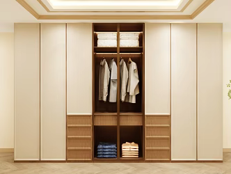Wardrobe Design Wardrobe Effect Diagram Wardrobe Coat Cabinet Design Coat Cabinet 3d model