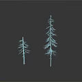 Two Leafless Dry Trees Standing Isolated Against Minimalist White Background