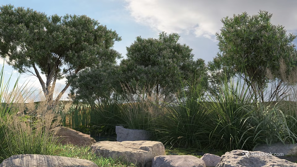 Lush Leafy Trees Surrounded by Green Plants and Rocks Under Blue Sky with Clouds 3d model 