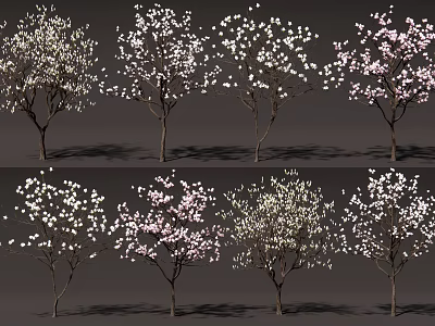 Blooming Ornamental Trees With White And Pink Flowers In Various Varieties 3d model