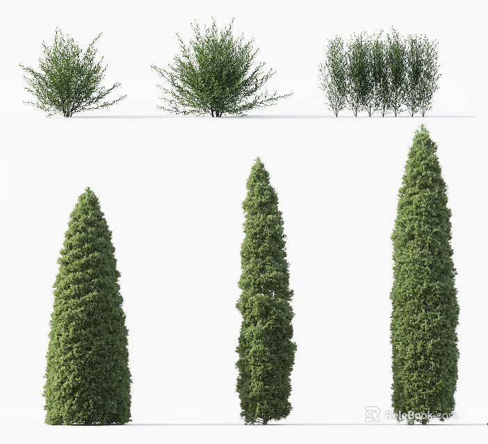 Different Types Of Garden Shrubs With Various Shapes Sizes And Foliage For Landscape Design 3d model 