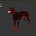 Black And Brown Dog Standing On Gray Background With Reflective Floor 3d model