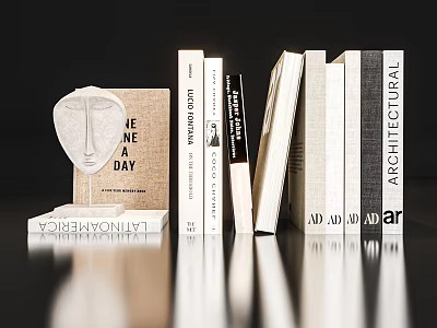 Neatly Arranged Books Magazines On Reflective Surface With White Black Brown Covers 3d model