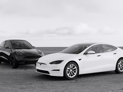 Two Black And White Modern Cars Parked On Road With Cloudy Sky Background 3d model