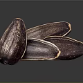Dark Purple Sunflower Seeds With White Edges Arranged On Dark Background