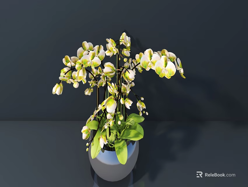 Bonsai Potted Plant With White And Green Orchid Flowers And Green Leaves In Gray Pot 3d model 