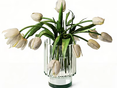 Transparent Glass Vase With Vertical Stripes Holding Fresh White Tulips And Green Leaves 3d model