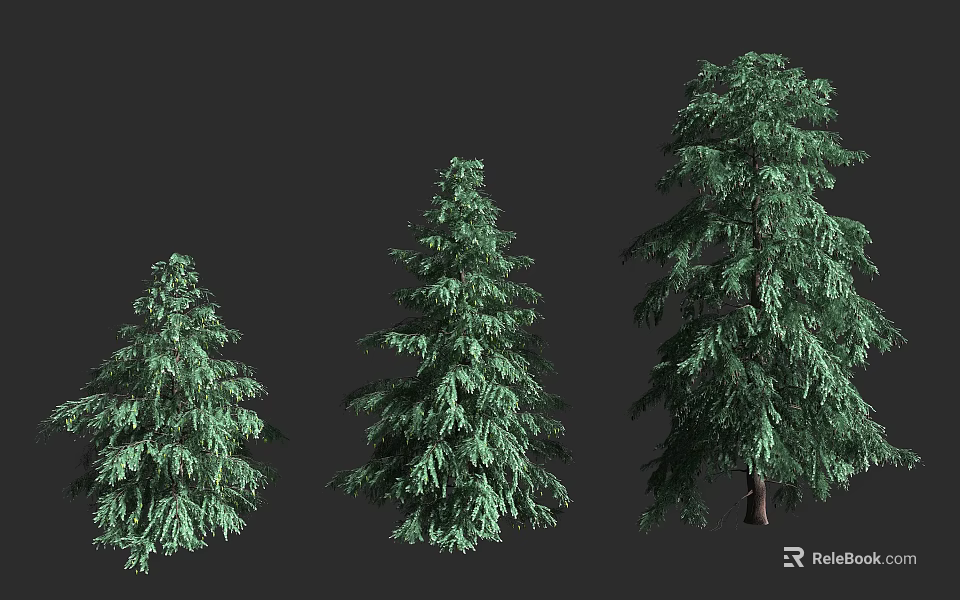 Three Green Trees of Different Sizes with Lush Foliage and Natural Growth 3d model 