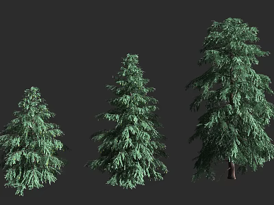 Three Green Trees of Different Sizes with Lush Foliage and Natural Growth 3d model