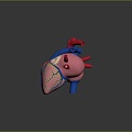 Heart Human Heart Heart Anatomical Organs 3d model