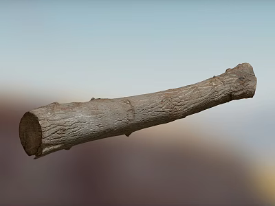 Natural Stone And Wood Log With Bark Texture For Rustic Decor 3d model