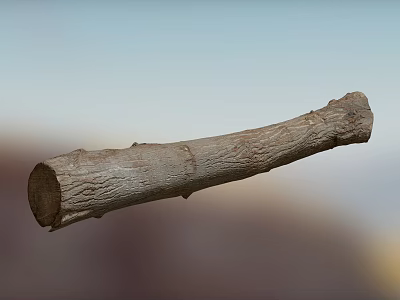 Natural Stone And Wood Log With Bark Texture For Rustic Decor 3d model Natural Stone And Wood Log With Bark Texture For Rustic Decor 3d model