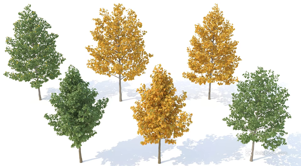 Tall Deciduous Trees With Green And Yellow Leaves For Garden Landscape Design 3d model 