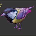 Vibrant Blue Yellow White Plumage Bird Standing On Black Surface With Visible Reflection 3d model
