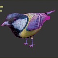 Modern Birds Birds 3d model